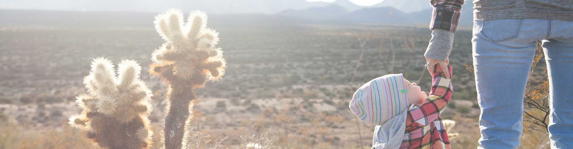 Measuring Economic Performance: Growth, Prosperity, and Inclusion in Arizona