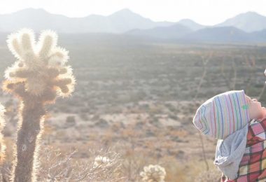 Measuring Economic Performance: Growth, Prosperity, and Inclusion in Arizona